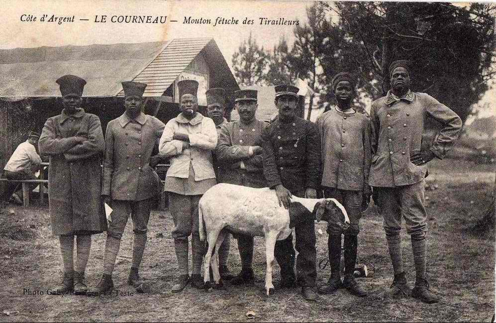 L’Histoire Oubliée : Les Africains, Premiers Vendeurs dans la Traite Atlantique